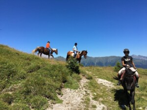 Visit Zoncolan_passeggiate a cavallo
