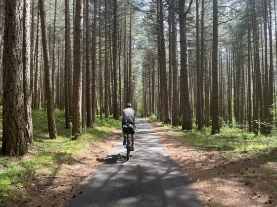 Ciclovia dei parchi della Calabria, Aspromonte, ph. Denis Falconieri