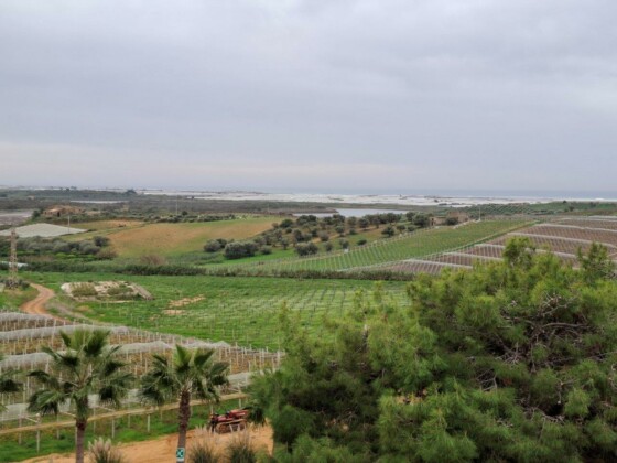 Casa Grazia, Assovini Sicilia, Ph. Marco Giovenco