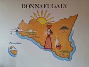 Donnafugata, Assovini Sicilia, Ph. Marco Giovenco 