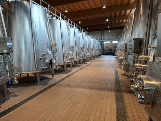 Donnafugata, Assovini Sicilia, Ph. Marco Giovenco