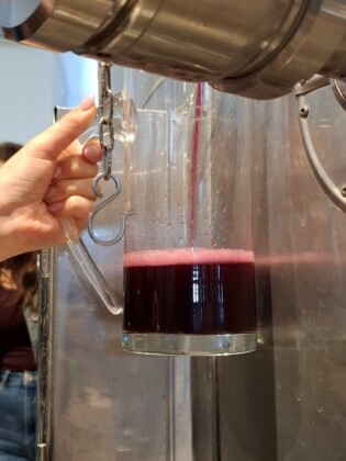 Donnafugata, Assovini Sicilia, Ph. Marco Giovenco