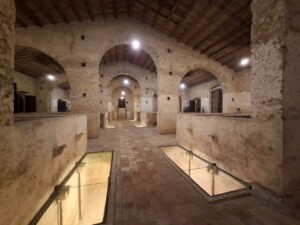 Feudi del Pisciotto, Assovini Sicilia. Ph. Marco Giovenco