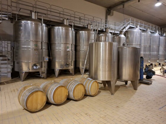 Feudi del Pisciotto, Assovini Sicilia. Ph. Marco Giovenco