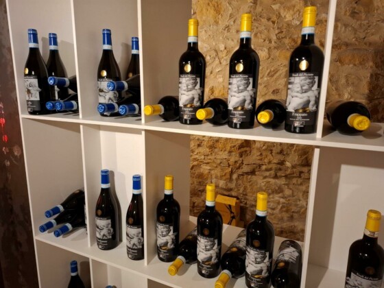 Feudi del Pisciotto, Assovini Sicilia. Ph. Marco Giovenco