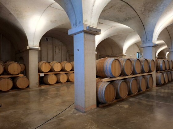 Feudo Maccari, Assovini Sicilia. Ph. Marco Giovenco