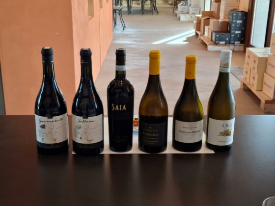 Feudo Maccari, Assovini Sicilia. Ph. Marco Giovenco