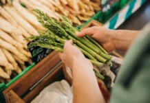 Foresta Nera, stagione degli asparagi Frischer grüner und weißer Spargel aus dem Schwarzwald © Dimitri Dell_#heimat Schwarzwald