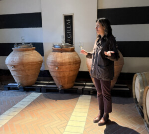 Giulia Di Cosimo Argillae anfore