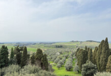 Castello del Terriccio, una carezza per l’anima veduta dal borgo del Castello del Terriccio a Castellina Marittima