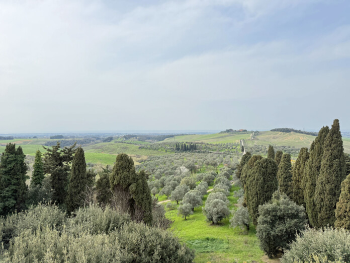 veduta dal borgo del Castello del Terriccio a Castellina Marittima