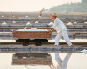Love Istria - Salinaio al lavoro nelle Saline di Sicciole