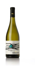 Navarra, Allucià. Ph. Navarra