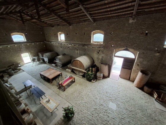 Valle dell'Acate, Assovini Sicilia, Ph. Marco Giovenco