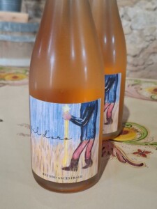 Valle dell'Acate, Assovini Sicilia, Ph. Marco Giovenco