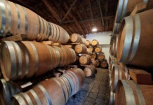 Sicilia en Primeur 2026: il vino diventa esperienza Zisola, Assovini Sicilia, Ph. Marco Giovenco