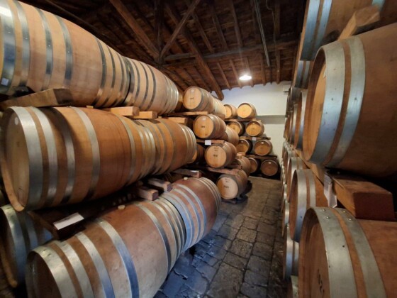 Zisola, Assovini Sicilia, Ph. Marco Giovenco