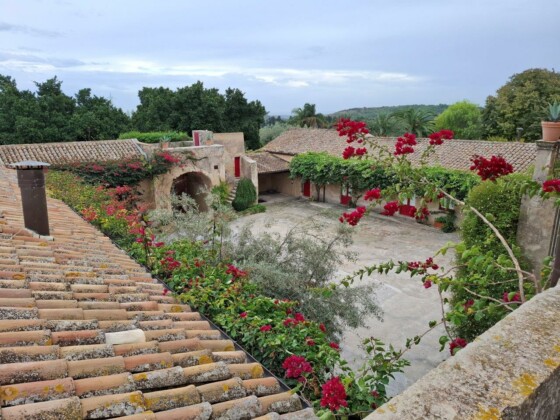 Zisola, Assovini Sicilia, Ph. Marco Giovenco