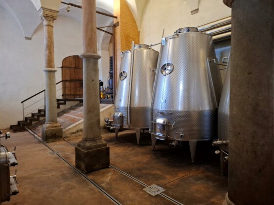 Abbazia di Praglia, la cantina, foto Marco Giovenco