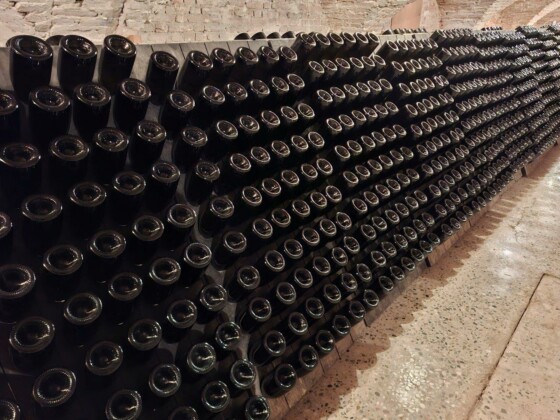 Abbazia di Praglia, la cantina, foto Marco Giovenco