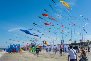 Archivio-ARTEVENTO-CERVIA