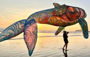 Artevento Cervia, foto di Bimana