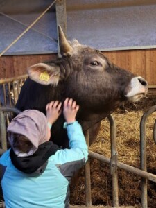 Borgo Valbelluna, Alice Polla del Colle del Tiglio, foto Marco Giovenco