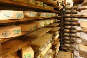 Borgo Valbelluna, formaggio in stagionatura nella storica Latteria Da Frontin, foto Marco Giovenco