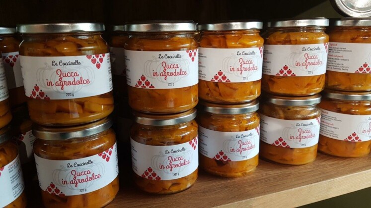 Borgo di Corte_Coccinelle di Deborah Scarton, foto Marco Giovenco