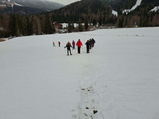 Ciaspole in Val Fiscalina, foto Marco Giovenco