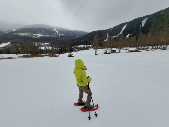 Ciaspole in Val Fiscalina, foto Marco Giovenco
