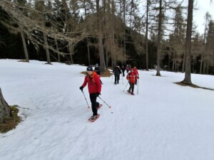 Ciaspole in Val Fiscalina, foto Marco Giovenco
