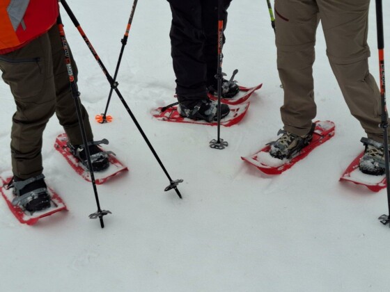 Ciaspole in Val Fiscalina, foto Marco Giovenco