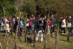 Festival dei Cammini di Aquileia 2025
