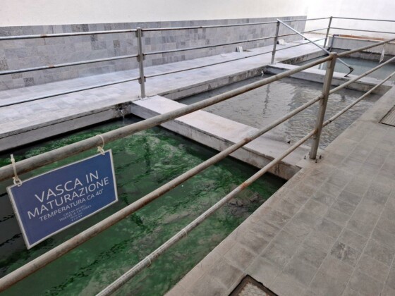 GB Thermae Hotels Abano, foto Marco Giovenco