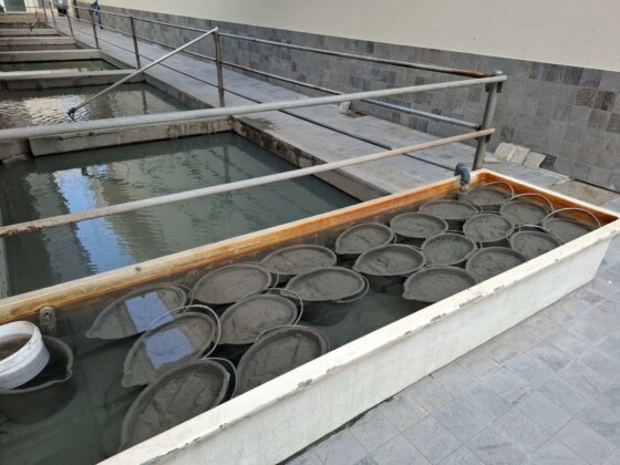 GB Thermae Hotels Abano, foto Marco Giovenco