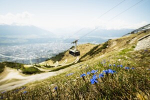 funivia della Nordkette, fiori di primavera