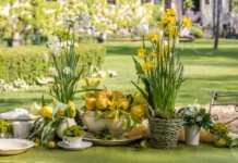 Magici Intrecci Primaverili al Castello di Strassoldo Manifestazione al Castello di Strassoldo in Friuli Venezia Giulia, foto Magici Intrecci Primaverili