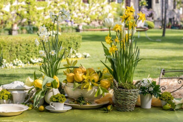 Manifestazione, foto Magici Intrecci Primaverili Manifestazione al Castello di Strassoldo in Friuli Venezia Giulia, foto Magici Intrecci Primaverili