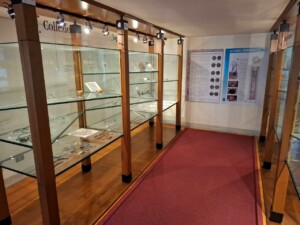 Museo archeologico di Mel di Borgo Valbelluna nel Palazzo delle Contesse, foto Marco Giovenco