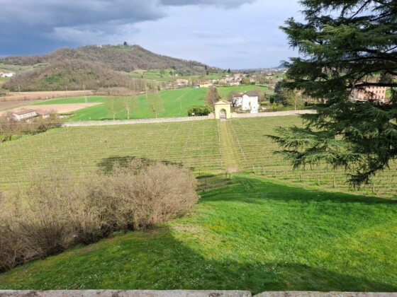 Villa Vescovi a Torreglia, foto Marco Giovenco