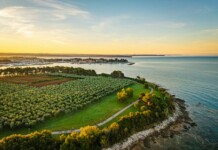 Croazia in bici sulle strade bianche: la NOVA Eroica Istria 2026 Novigrad Istria pedalando nei dintorni