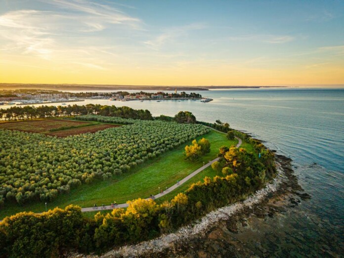 Novigrad Istria pedalando nei dintorni