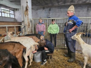 Vivere la montagna in famiglia