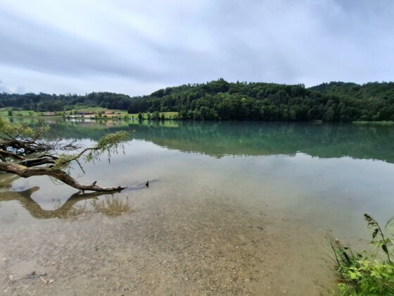 Berna, Seeland, foto Marco Giovenco
