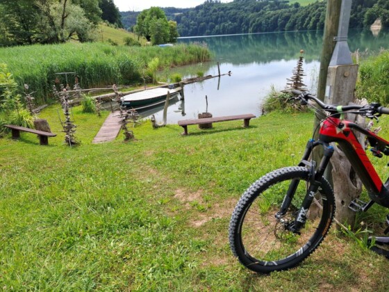 Berna, in e-bike lungo l'anello del Frienisberg, foto Marco Giovenco