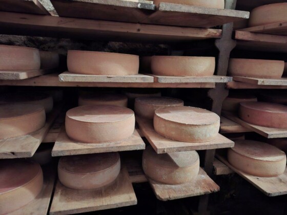 Berna, il tipico formaggio svizzero, foto Marco Giovenco