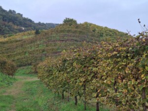 Conegliano Valdobbiadene, foto Marco Giovenco