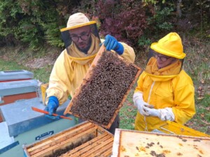 Conegliano Valdobbiadene, progetto Eno-bee, foto Marco Giovenco