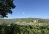 Castello di Meleto: vino, miele e amore per il terroir castello-meleto